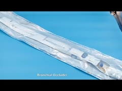 أنبوب الحاجز داخل القصبة